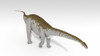 Apatosaurus dinosaur, white background Poster Print - Item # VARPSTKVA600709P