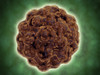 Microscopic view of the capsid protein of Nudaurelia capensis omega virus Poster Print - Item # VARPSTSTK701005H