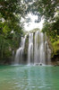 Llanos De Cortez Waterfall  Costa Rica Poster Print by Panoramic Images (12 x 19) - Item # PPI131193