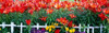 http://c328301.r1.cf1.rackcdn.com/PPI73131L.jpg