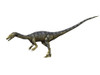 Coelophysis dinosaur, white background Poster Print - Item # VARPSTNBT600086P