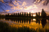 Sunset Reflection In A Park Pond, Portland, Oregon PosterPrint - Item # VARDPI1830438