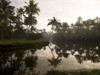 Sunrise And Palm Trees, Kerala, India PosterPrint - Item # VARDPI1827946