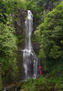 Hawaii, Maui, Kipahulu, Hana Coast, Woman Stands With Umbrella At Wailua Falls Surrounded By Foliage. PosterPrint - Item # VARDPI1975271