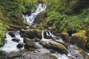 Torc Waterfall In Killarney National Park; County Kerry, Republic Of Ireland PosterPrint - Item # VARDPI1983122