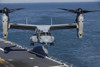 Atlantic Ocean, January 31, 2012 - An MV-22 Osprey tiltrotor aircraft lands aboard the amphibious assault ship USS Kearsarge during exercise Bold Alligator 2012. Poster Print - Item # VARPSTSTK105261M