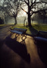 Saint Stephen's Green, Dublin, Co Dublin, Ireland PosterPrint - Item # VARDPI1808050