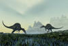 Two Spinosaurus dinosaurs drink from a marsh area in prehistoric times Poster Print - Item # VARPSTCFR200035P