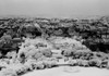 USA  Washington DC  view from Washington Monument towards White House Poster Print - Item # VARSAL255422326