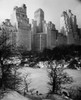 Snow covered park in front of skyscrapers  Central Park  Manhattan  New York City  New York  USA Poster Print - Item # VARSAL25545295