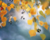 Golden leaves hanging above water Poster Print by Panoramic Images (16 x 13) - Item # PPI118211