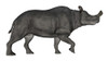 Brontotherium isolated on white background Poster Print - Item # VARPSTEDV600321P