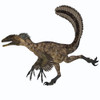 Deinonychus was a carnivorous dinosaur that lived during the Cretaceous period of North America Poster Print - Item # VARPSTCFR200365P