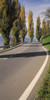 http://c328301.r1.cf1.rackcdn.com/PPI35197L.jpg