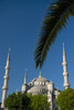 http://c328301.r1.cf1.rackcdn.com/DPI1892963.jpg