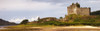 http://c328301.r1.cf1.rackcdn.com/DPI2037776LARGE.jpg