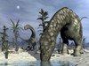 Argentinosaurus dinosaurs grazing in the desert with tempskya and williamsonia plants Poster Print - Item # VARPSTEDV600234P