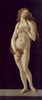 Venus Pudica  C.1486  Sandro Botticelli  Galleria Sabauda  Turin Poster Print - Item # VARSAL900101416