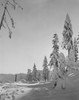 USA  Cascade Mountains  winter scene Poster Print