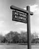 No dogs allowed in park  low angle view Poster Print - Item # VARSAL255416575
