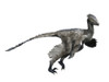 Troodon dinosaur, white background Poster Print - Item # VARPSTNBT600161P