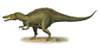 Suchomimus tenerensis, a prehistoric era dinosaur from the Cretaceous period Poster Print - Item # VARPSTSKR100099P