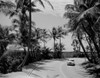 USA  Florida  Palm Beach  Highway A1A Poster Print - Item # VARSAL255420449