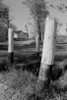 Wooden posts on roadside Poster Print - Item # VARSAL255423571