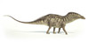 Amargasaurus dinosaur on white background with drop shadow Poster Print - Item # VARPSTVET600058P