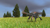 Gigantoraptor running across an open field Poster Print - Item # VARPSTKVA600473P