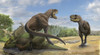 A Teratophoneus dinosaur defends its prey Kosmoceratops from another relative Poster Print - Item # VARPSTSKR100116P