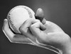 Close-up of a person's hand holding a baseball Poster Print - Item # VARSAL25524719