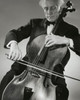Close-up of a cellist playing the cello Poster Print - Item # VARSAL2553361
