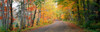 http://c328301.r1.cf1.rackcdn.com/PPI56043L.jpg