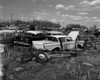 Junk cars Poster Print - Item # VARSAL255422067