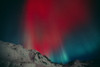 Red Aurora Over Talkeetna Mountains At Hatcher Pass In Southcentral, Alaska PosterPrint - Item # VARDPI2157802