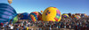 http://c328301.r1.cf1.rackcdn.com/PPI160703S.jpg