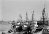 USA  California  Los Angeles  Los Angeles Harbor  fishing fleet Poster Print - Item # VARSAL255419127