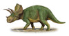 Ojoceratops fowleri, a prehistoric era dinosaur from the Late Cretaceous period Poster Print - Item # VARPSTSKR100064P