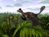 A feathered Microraptor perched atop a tree fern Poster Print - Item # VARPSTWMY100197P