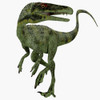 Juravenator dinosaur. Juravenator was a small carnivorous theropod that lived in Germany during the Jurassic Period Poster Print - Item # VARPSTCFR200527P