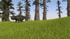 Udanoceratops walking across a grassy field Poster Print - Item # VARPSTKVA600639P