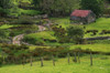 Traditional Cottages, Dan Oharas Cottage, Connemara Heritage Centre PosterPrint - Item # VARDPI1816307