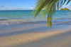 Hawaii, Oahu, Footprints In The Sand At Lanikai Beach Palm Frond And Mokulua Islands PosterPrint - Item # VARDPI1996184