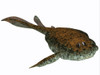 Bothriolepis, a freshwater detritivore which lived in the Devonian Period Poster Print - Item # VARPSTCFR200179P