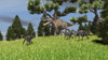Ceratosaurus chasing a group of Gigantoraptors Poster Print