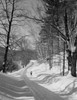 Country road in winter Poster Print - Item # VARSAL255423945