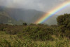 Hawaii, Maui, A rainbow over the lush Kaupo Gap. PosterPrint - Item # VARDPI2116321