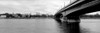 Kennedy Bridge on Rhine River, Bonn, North Rhine Westphalia, Germany Poster Print - Item # VARPPI167358