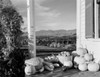 USA  New Hampshire  Lancaster  pumpkins and apples on porch Poster Print - Item # VARSAL255424038